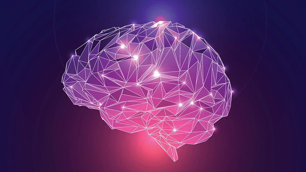 10 любопытных фактов о нашем мозге интересные факты,мозг,наука,человек