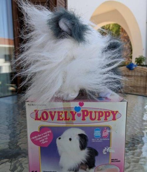 Ожидания, разбившиеся о реальность Ожидания, разбившиеся о реальность