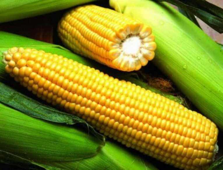 Суп от остеохондроза и отложения солей