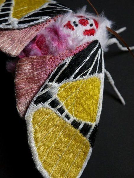Удивительные бабочки от Окита Юми бабочек, текстильные, других, текстиля, Раскрашивает, вручную, украшает, мехом, вышивкойБабочки, одного, таланта, Бабочки, Finch&039sКстати, мастер, делает, менее, удивительные, грибы, прочие, растенияИ