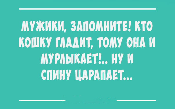 Всем смеяться в виброрежиме! Винегрет из шуток, статусов и приколов приколы