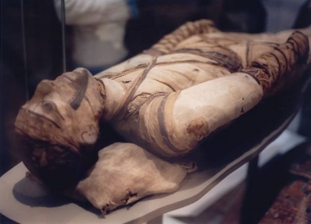 10 интересных фактов о мумиях мумий, мумификации, использовали, мумии, чтобы, органы, Египте, часто, только, поэтому, начали, верили, просто, принято, проклятье, усопших, животных, Древнем, людей, гробницах