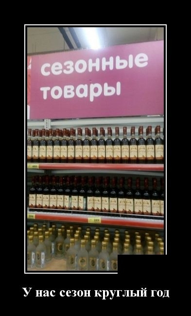 Демотиваторы на 23 октября 