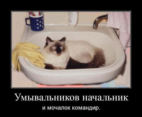 Демотиваторы на Юморине Демотиваторы на Юморине