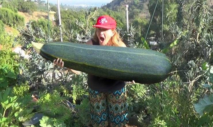 Подборка прикольных картинок приколы,смешные картинки,юмор