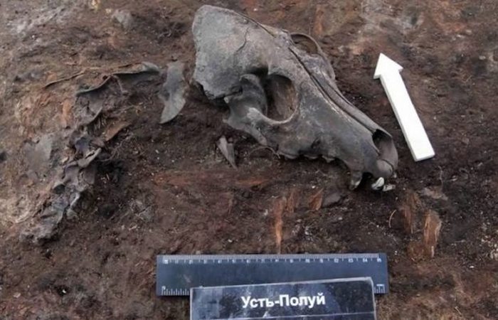 10 редких и весьма загадочных находок, которые были сделаны в Сибири и поставили учёных в тупик археология