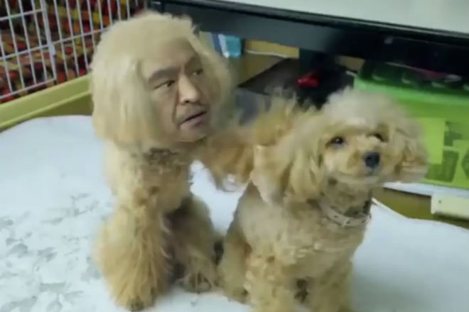 Японская реклама Amazon: собака, человек и безумие