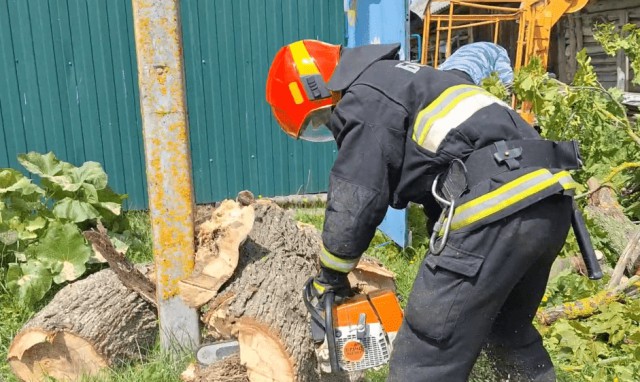 Аварийными службами области выполнены работы по уборке 96 упавших деревьев.