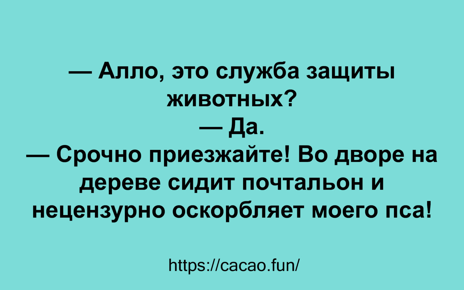 Время для смешных историй, шуток и анекдотов 