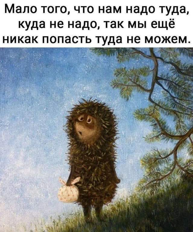 Сейчас авиакомпании дружно пишут, что надеются на наше понимание и поддержку в это трудное время... Весёлые,прикольные и забавные фотки и картинки,А так же анекдоты и приятное общение