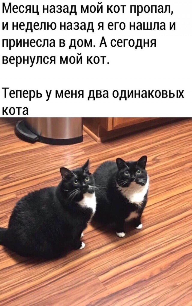 Юмор, юмор, юмор...