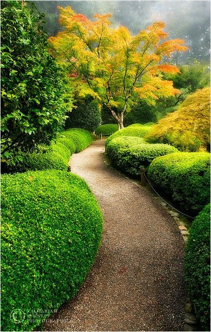 Гравийная дорожка в японском саду