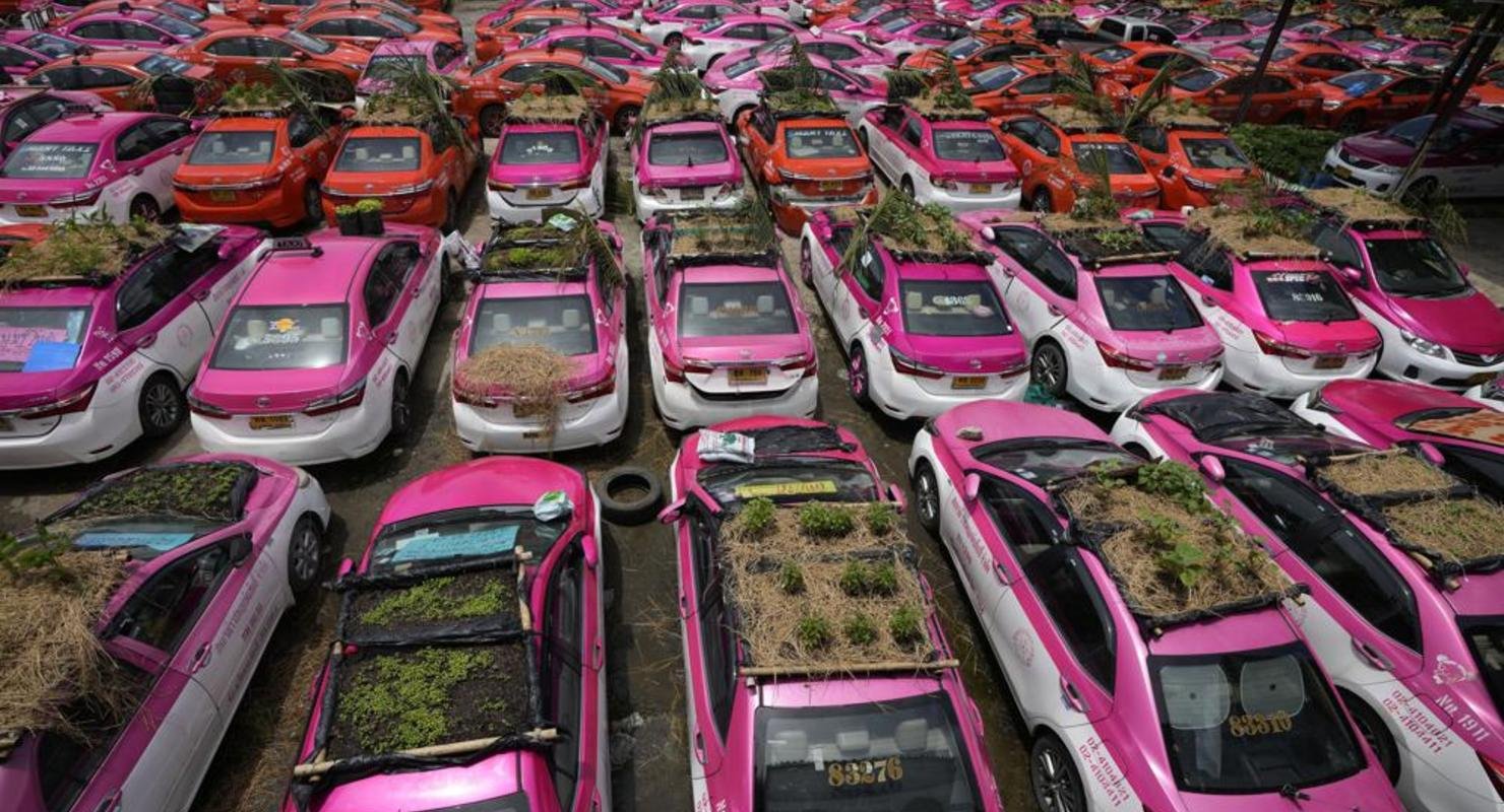 Из автомобилей такси сделали мини грядки