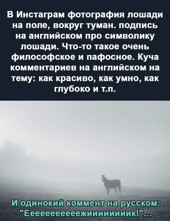 Юмор из интернета 640 позитив,смех,улыбки,юмор