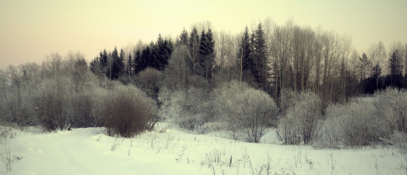 Жарко ? охладитесь вспомните зиму . Пермский Край и тишина Зима 2016-2017, красота, лес