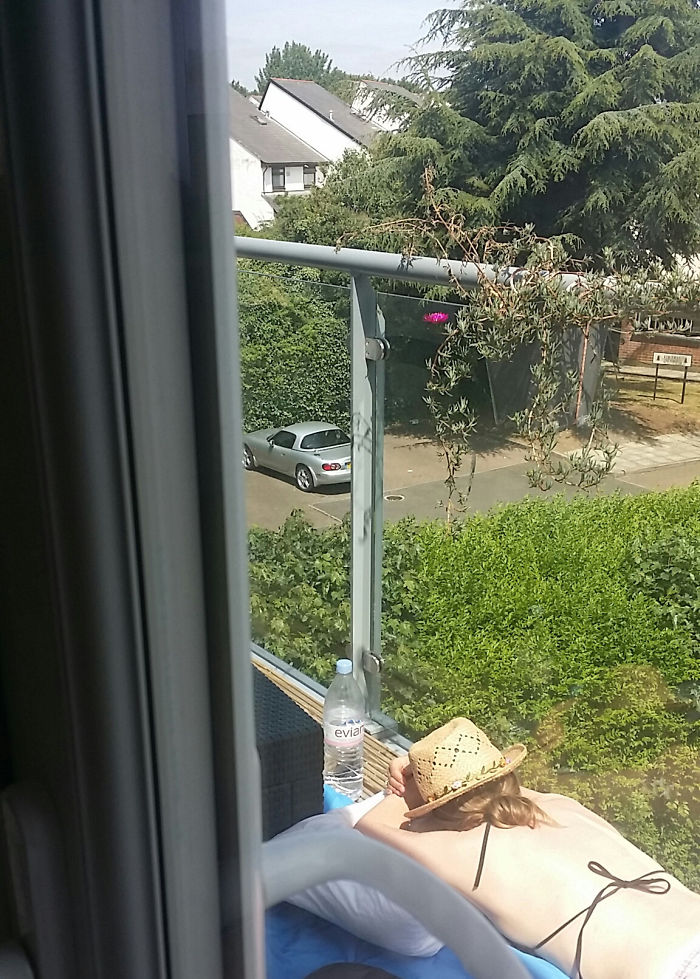 My Wife Doesn't Know I'm Working From Home Today. This Is My Wife, Working On Her Novel. Expected Release Date: 2052