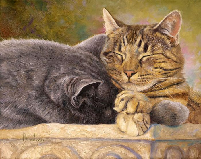 Художник Lucie Bilodeau. Пушистый живой генератор уюта