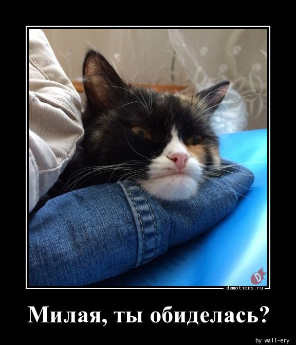 Демотиваторов свежая порция: «Приличные дети…» Демотиваторов свежая порция: «Приличные дети…»