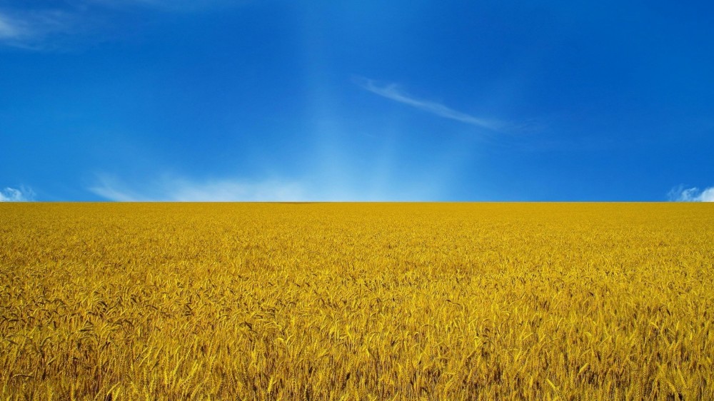 Зачем Россия вкладывает деньги в Украину Зачем Россия вкладывает деньги в Украину
