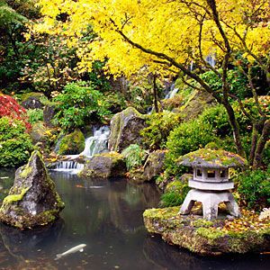 Пруд в японском саду