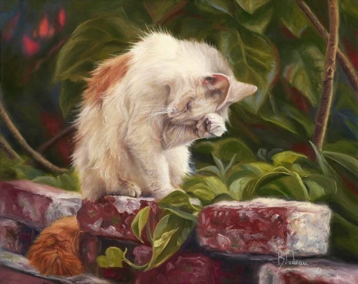 Художник Lucie Bilodeau. Пушистый живой генератор уюта