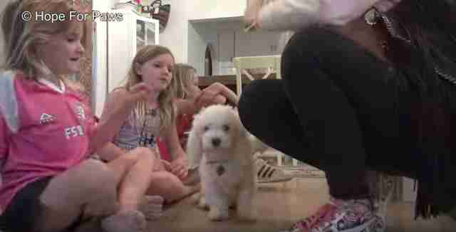 dog wouldn't let anyone touch her