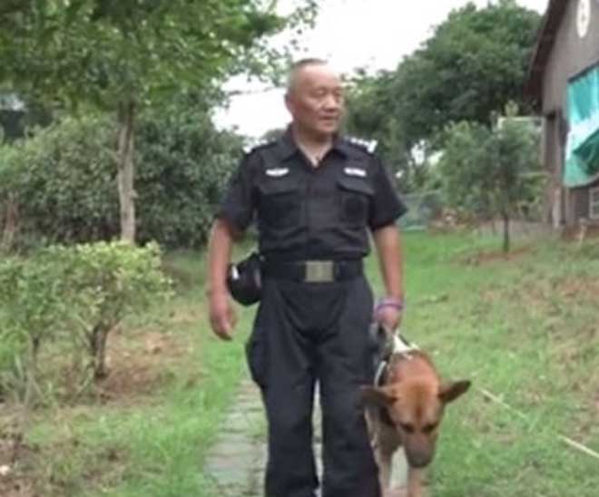 Врачи рекомендовали усыпить собаку, но предать товарища человек не смог Врачи рекомендовали усыпить собаку, но предать товарища человек не смог истории из жизни