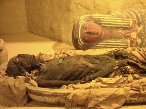 10 интересных фактов о мумиях мумий, мумификации, использовали, мумии, чтобы, органы, Египте, часто, только, поэтому, начали, верили, просто, принято, проклятье, усопших, животных, Древнем, людей, гробницах