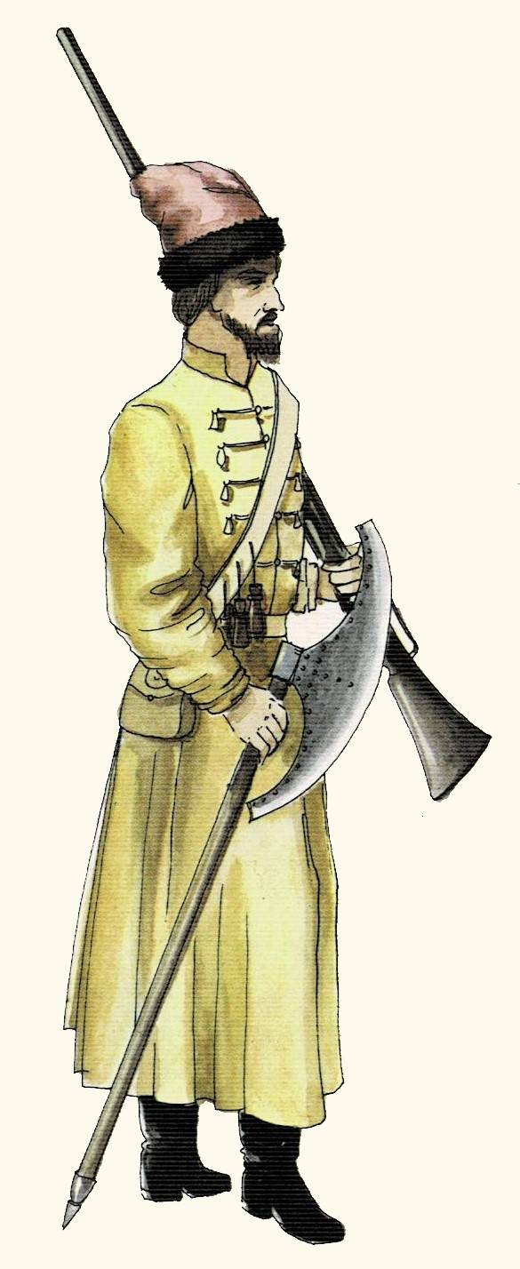 Кафтаны по полкам: разноцветное стрелецкое войско допетровской Руси Кафтаны по полкам: разноцветное стрелецкое войско допетровской Руси история