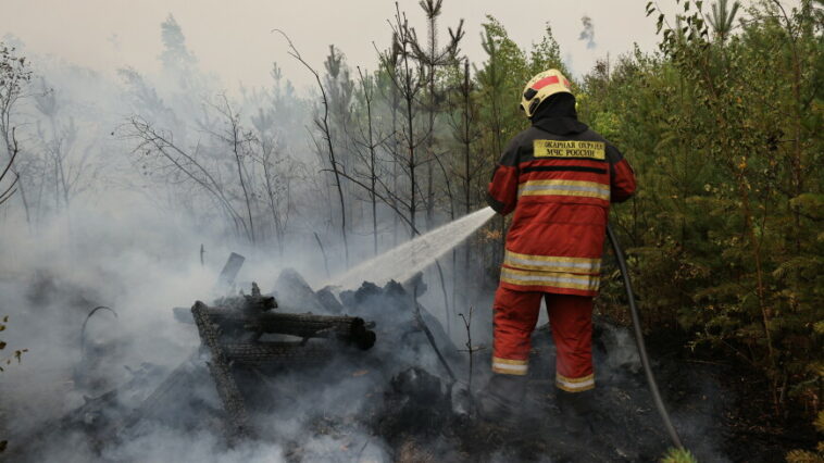 Врио губернатора Малков: Пожары в Рязанской области потушат через одну-две недели