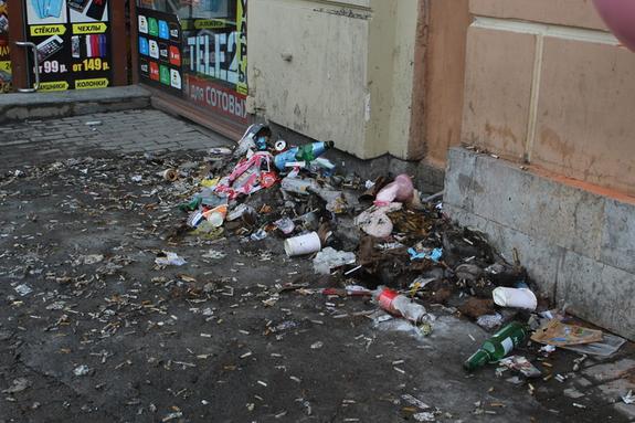 Жители Петербурга более 600 раз пожаловались на мусор за два дня