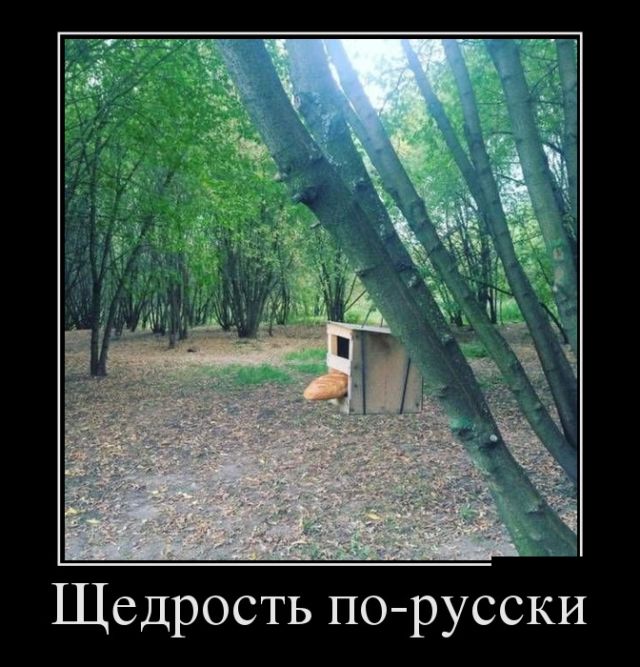 Позитивные и веселые демотиваторы для поднятия настроения (11 фото)