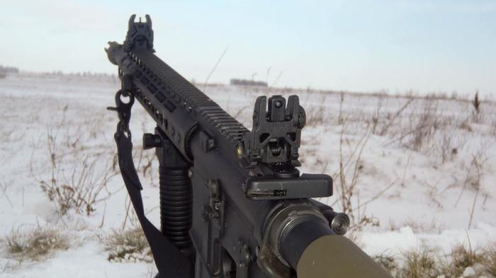 У американской винтовки иные прицельные приспособления. /Фото: forum.guns.ru.