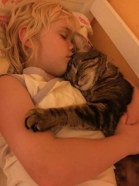 О дружбе О дружбе