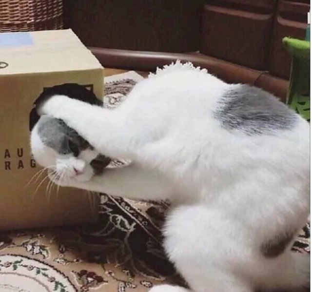 Невероятные фотографии в которые стоит присмотреться не один раз Невероятные фотографии в которые стоит присмотреться не один раз