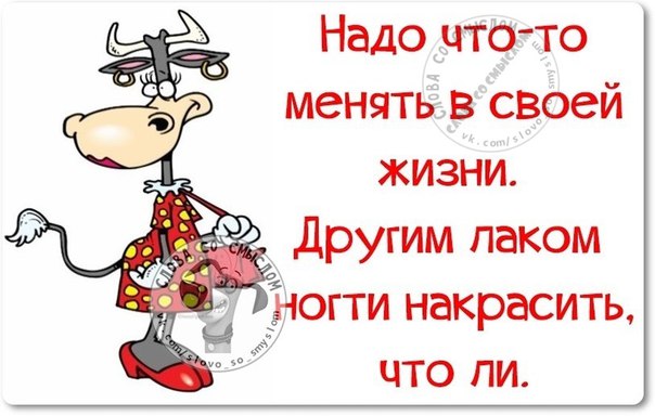 Веселые картинки с позитивчиком Веселые картинки с позитивчиком