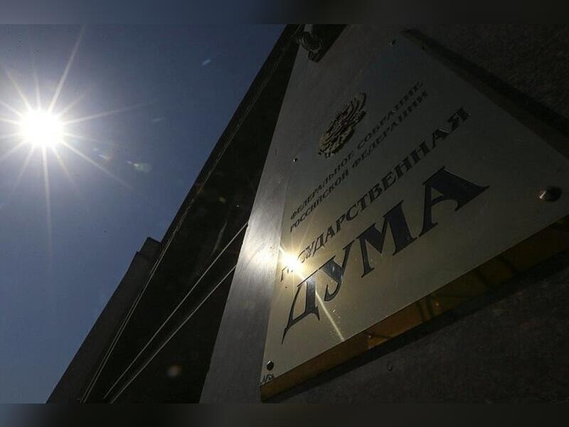 В Госдуме предложили отменить ежегодные декларации о доходах для чиновников