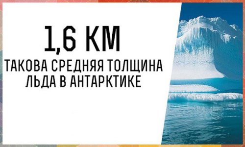 Средняя толщина льда в Антарктике 1,6 км.