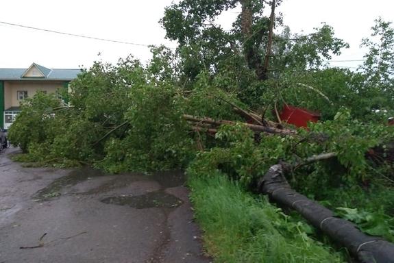 В Кузбассе ураганным ветром сдуло целую деревню