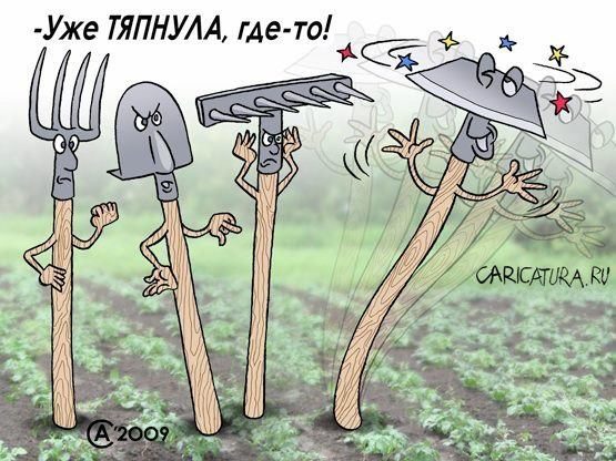 Забавные карикатурки 