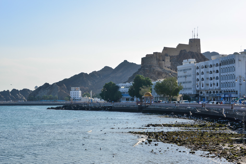 Как сегодня живется народу  в стране абсолютной монархии ? абсолютная монархия