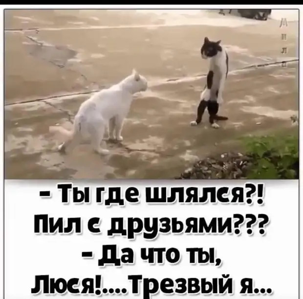 - Папа, а что такое трутень? - И ты туда же!