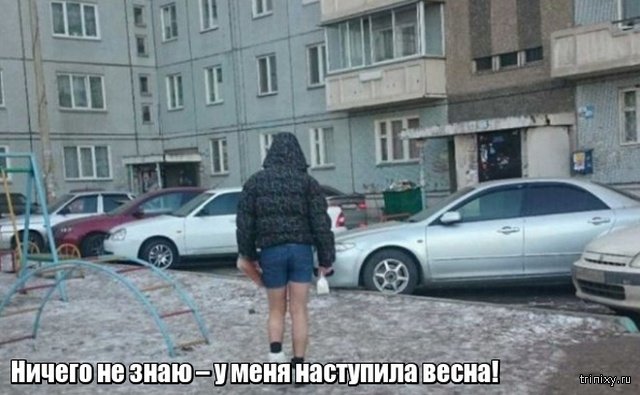 Весна уже пришла? Или пока еще нет? Весна уже пришла? Или пока еще нет? смешные картинки