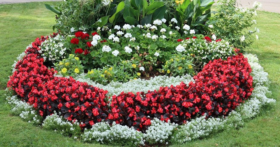 Круглая клумба в саду: советы по оформлению, идеи дизайна и готовые схемы можно, сорта, более, нужно, чтобы, например, растений, достаточно, цветы, также, несколько, просто, сортов, которые, разных, цветник, такие, цветов, блогера, посадок