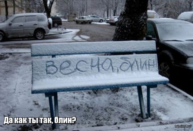 Весна уже пришла? Или пока еще нет? Весна уже пришла? Или пока еще нет? смешные картинки