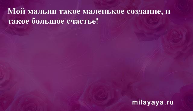 Картинки со статусами. Подборка milayaya-status-milayaya-status-53420611082020-15 картинка milayaya-status-53420611082020-15