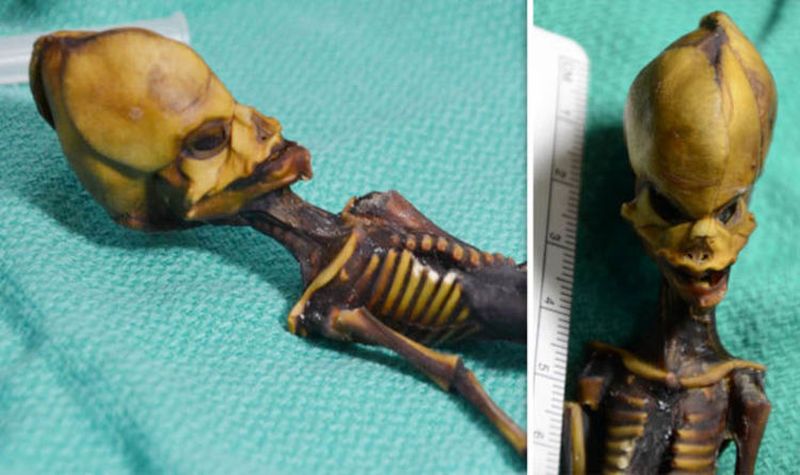 Гуманоид Атакамы - загадочная мумия из американской пустыни 1