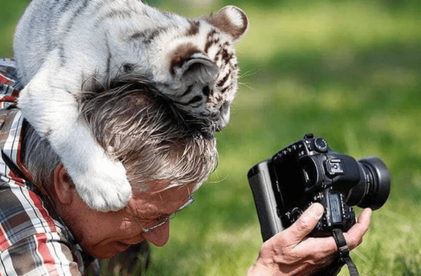 Забавные дуэты: животные и фотографы фотографировать, Фотографы, делаешь»«Я, горизонт, завален, второй, яркость, поменяй»«А, научи, хотим, стать, фотографами»«Эй, человек, косолапый, салага, фотографирую, хорошо»«Хватит, Давай, играться»«А, Еда»«Куку