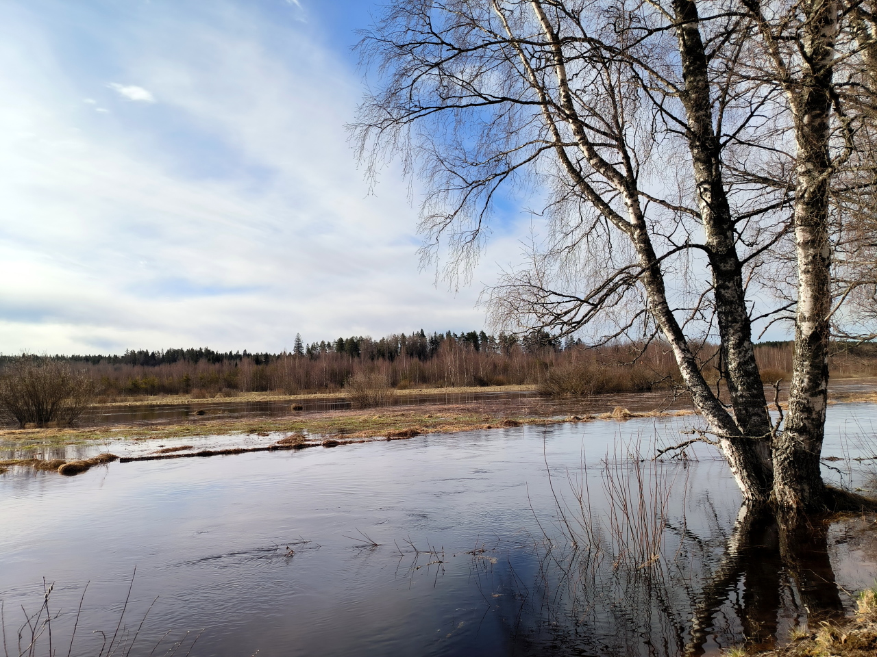 В Пермском крае затопило 38 территорий из-за паводка