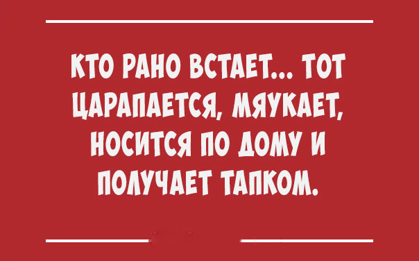 Всем смеяться в виброрежиме! Винегрет из шуток, статусов и приколов Всем смеяться в виброрежиме! Винегрет из шуток, статусов и приколов приколы